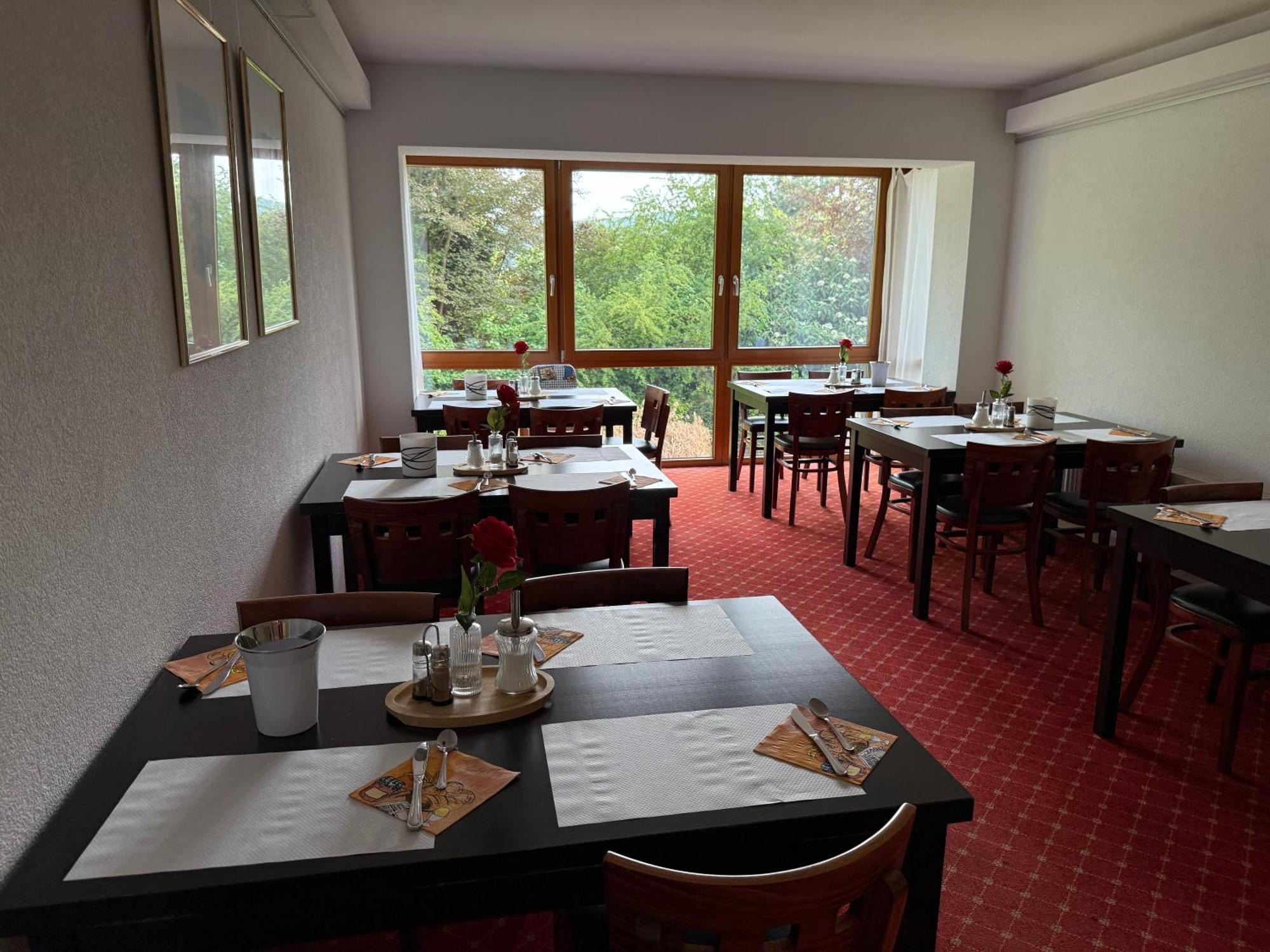 Hotel Schweizerblick Бад-Зекинген Экстерьер фото